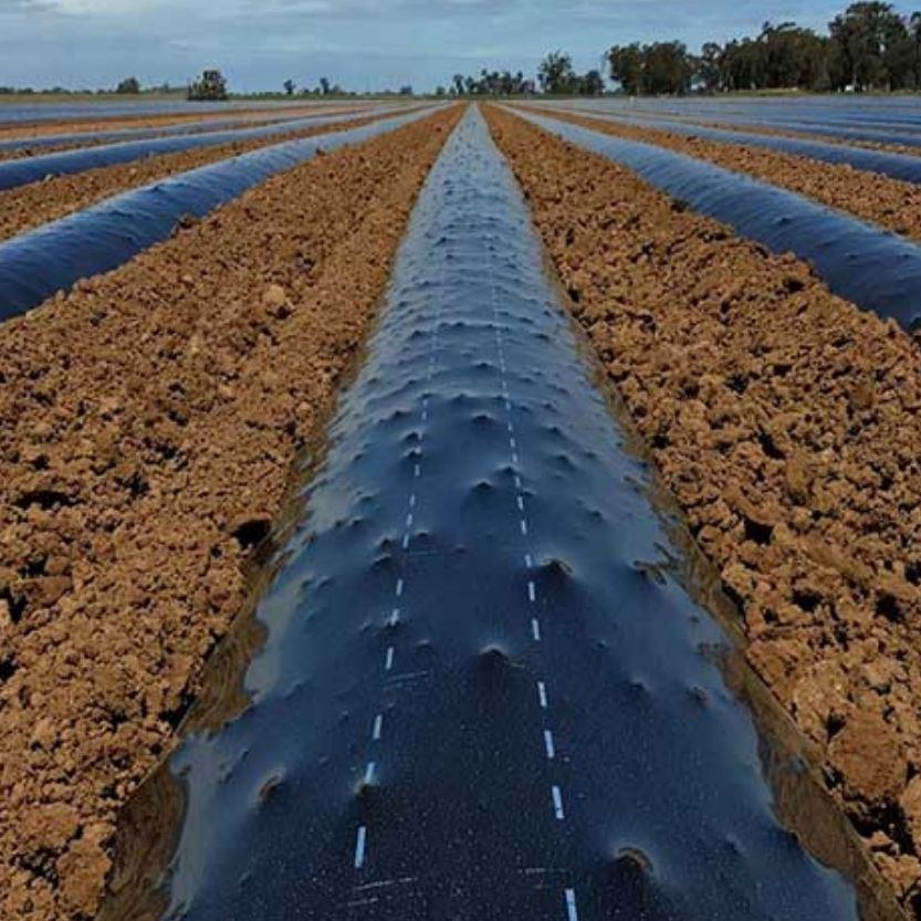 Agricultural Silver Black Plastic Ground Cover Mulching Film Premium Plastic Mulch Film