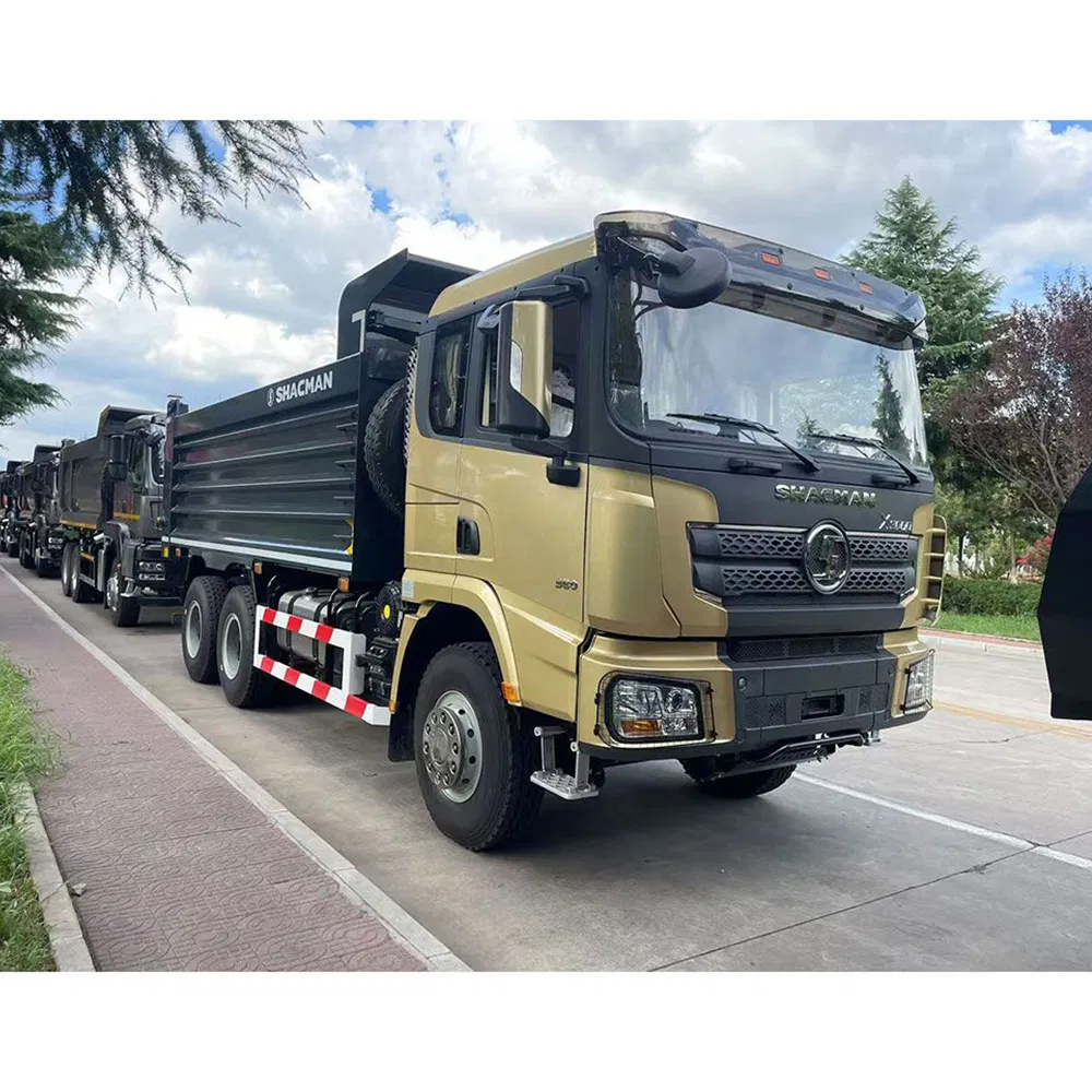 Shacman X3000 Engineering Cargo Transport Dump Dumper Fence Truck with Integral Mudguard