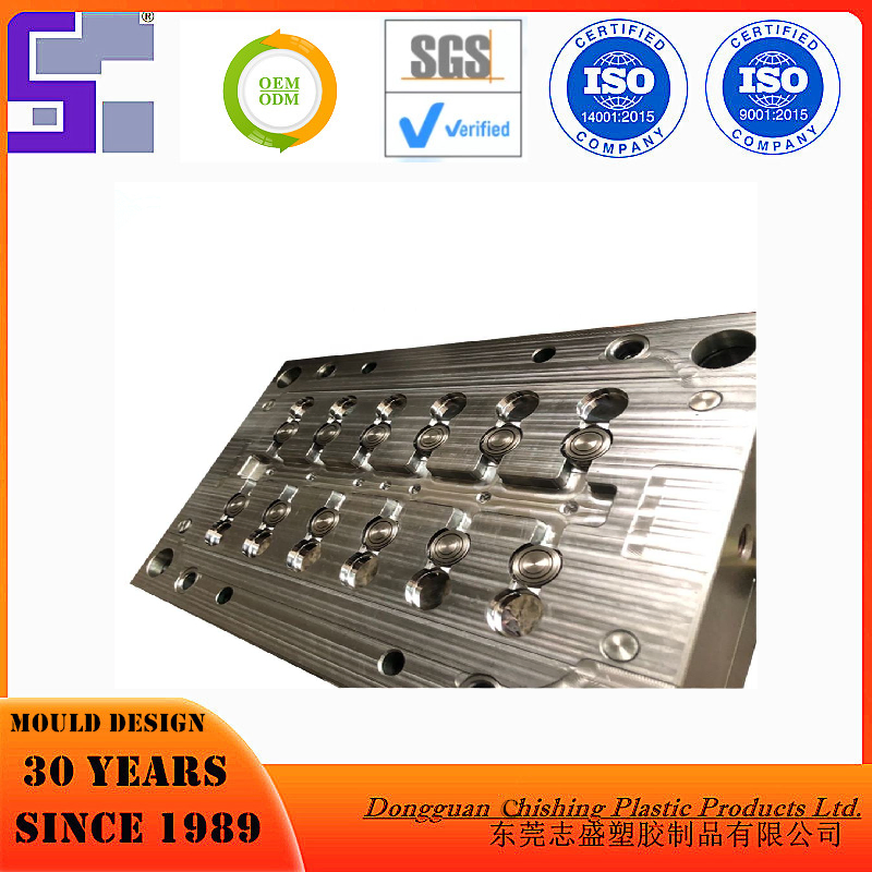 Plastic Injection Mould Die Maker Plastic Moulding Injection Parts