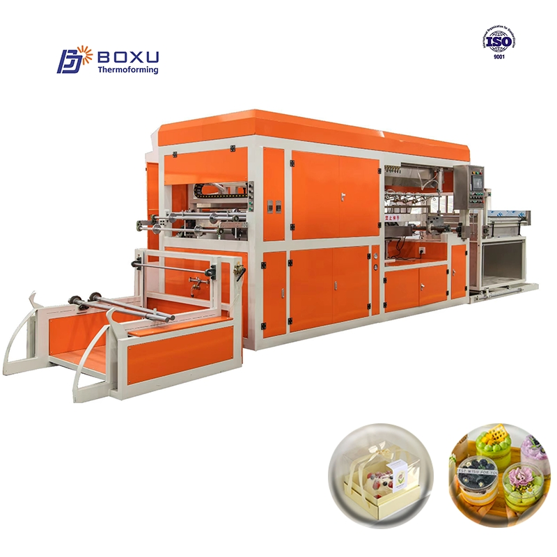 Boxu Food Saver Vacuum Sealer Machine for Long-Term Preservation