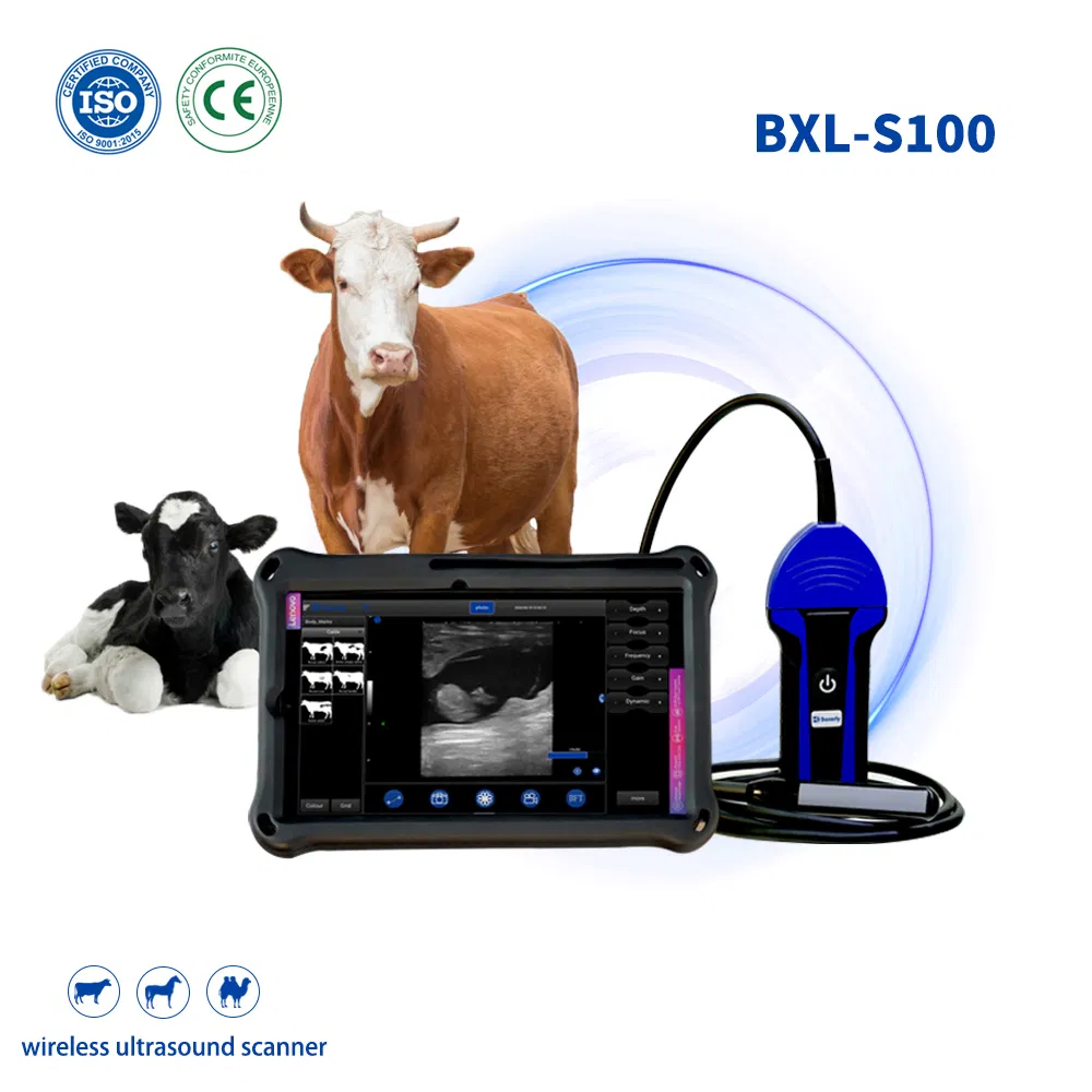 Bxl-S100 Wireless Portable Veterinary Ultrasound Sonography Diagnostic Scanner Machine for Cattle Cows CE ISO Certified