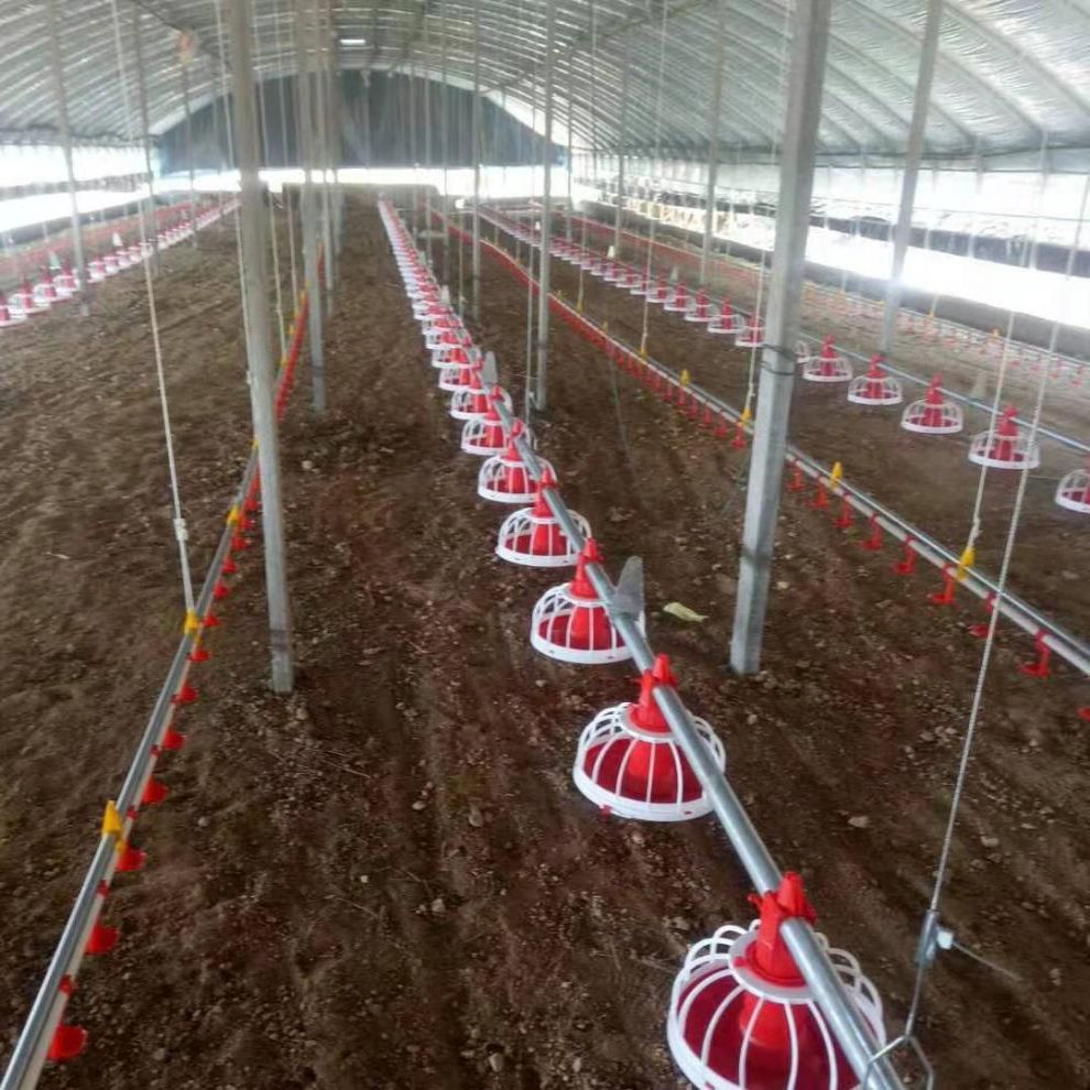 Broiler Chickens Ground Raising Equipment Floor Poultry Chicken Automatic Feeders