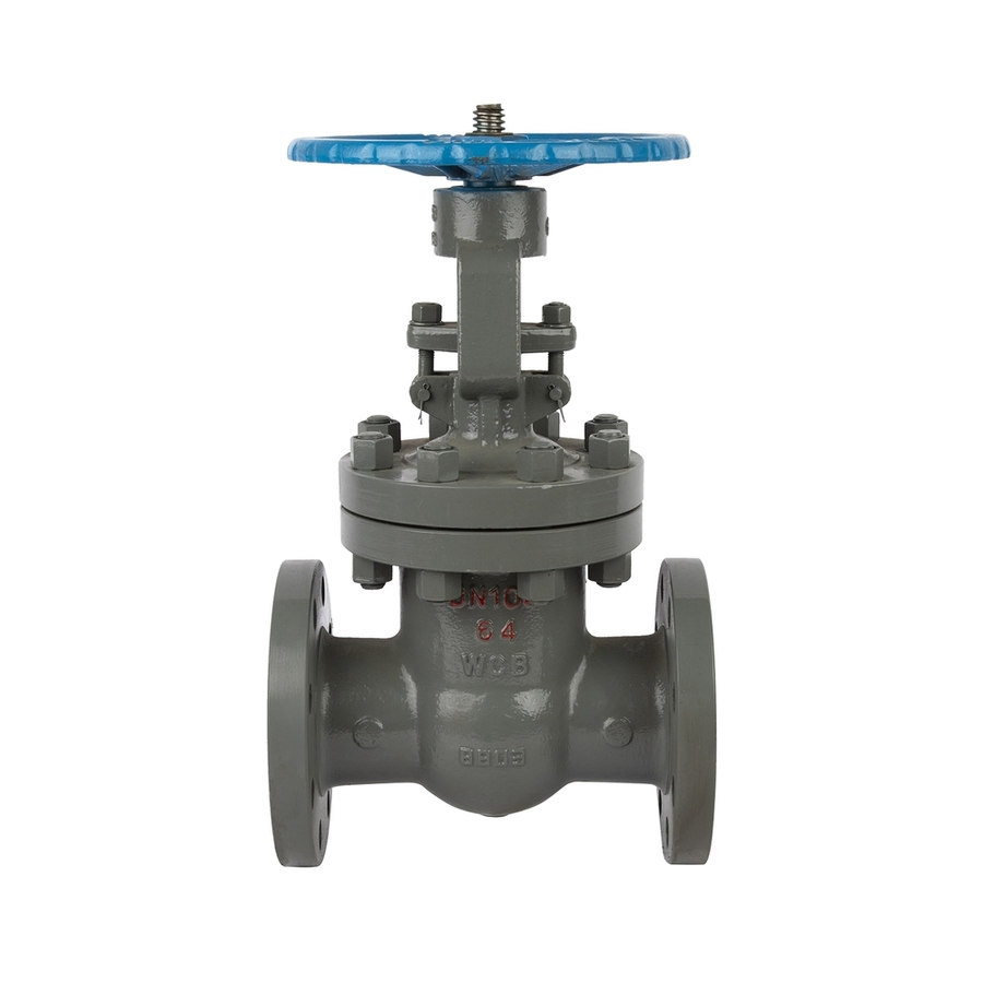 Customized 304/316/201 Gate Material Double Parallel Gate Valve