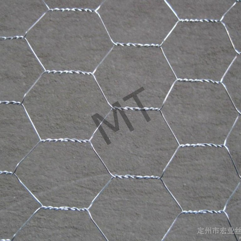 Galvanized Hexagonal Chicken Wire for Farm Use