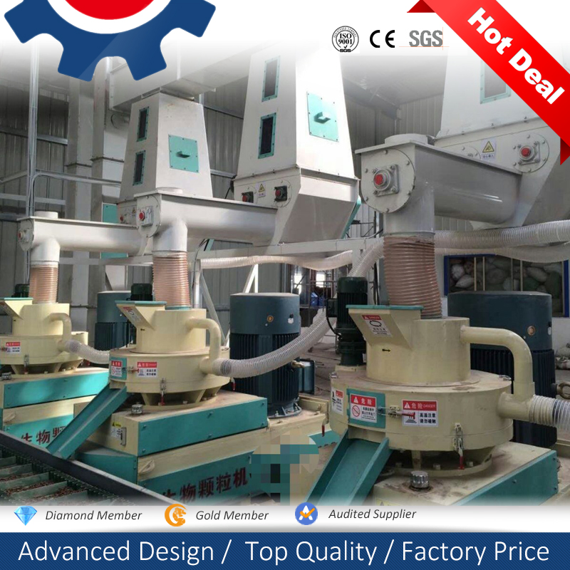 5-6t/Hr Complete Biomass Ring Die Wood Pellet Mill