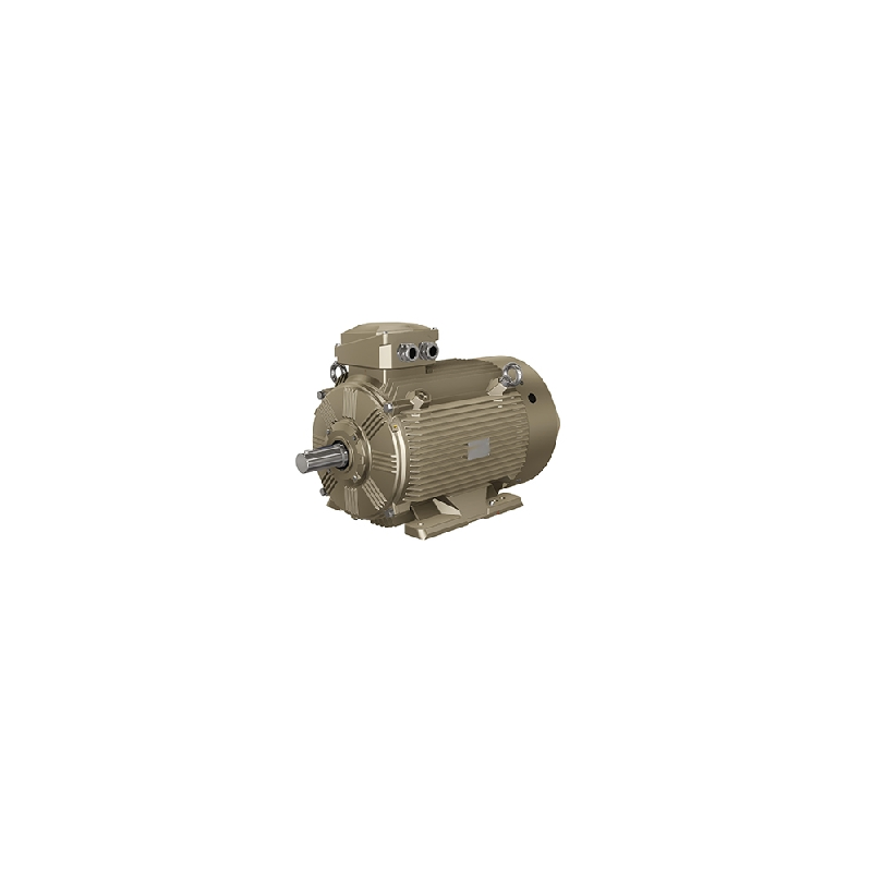 We Series 0.12-375kW IE3-IE5 Three Phase Induction Motor, IP55 Protection