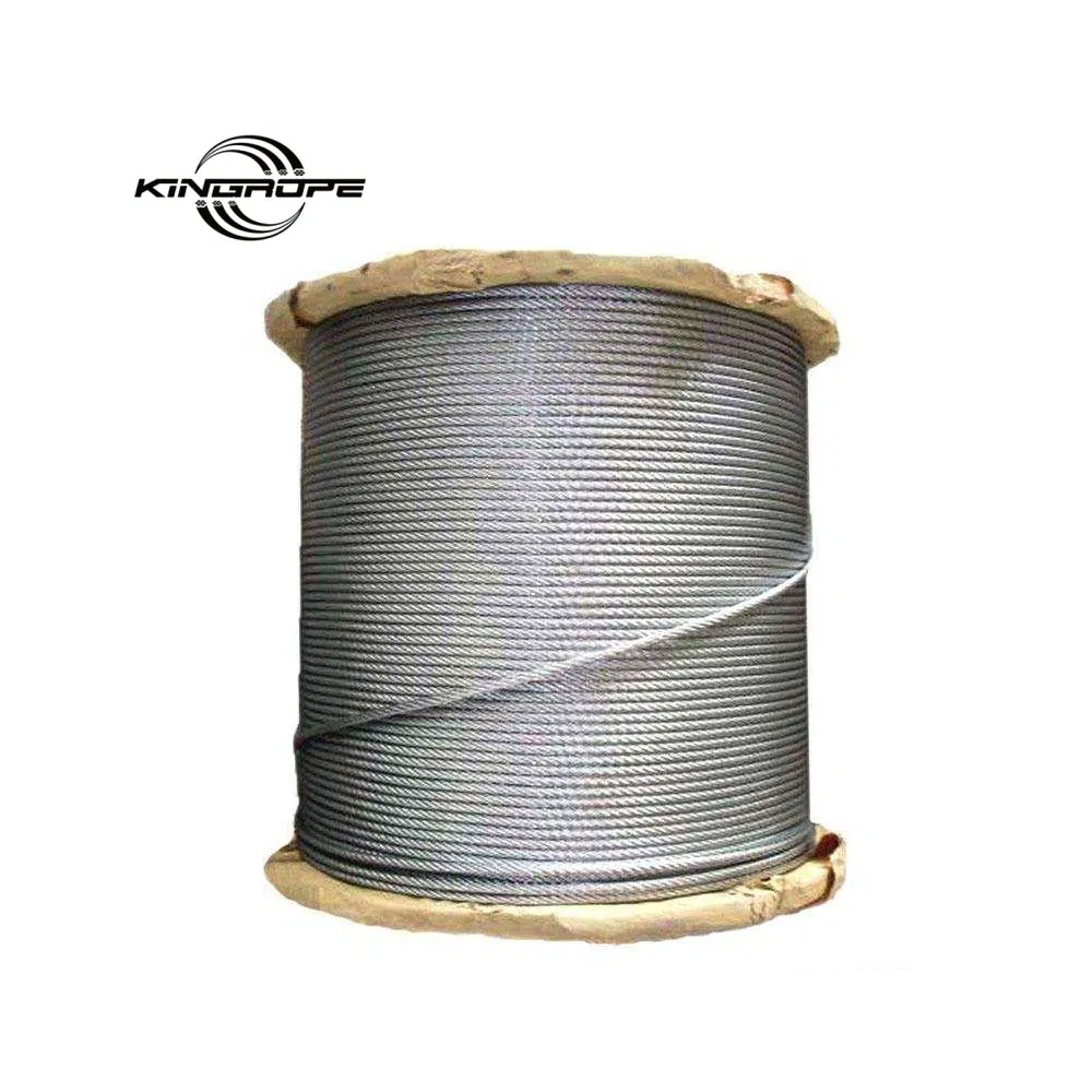 Fune in Acciaio Inox da 1/8 di Pollice 7X7 100 FT per Uso Edile