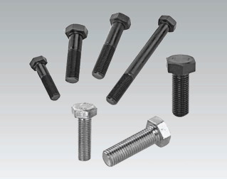 Alloy Steel Cold Forging Parts (HS-SF-011)