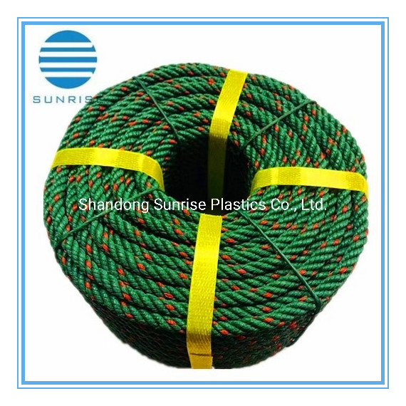 Green Gray with Red Recycled Rope