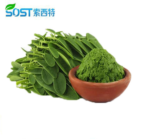 Polvere di foglie di moringa biologica