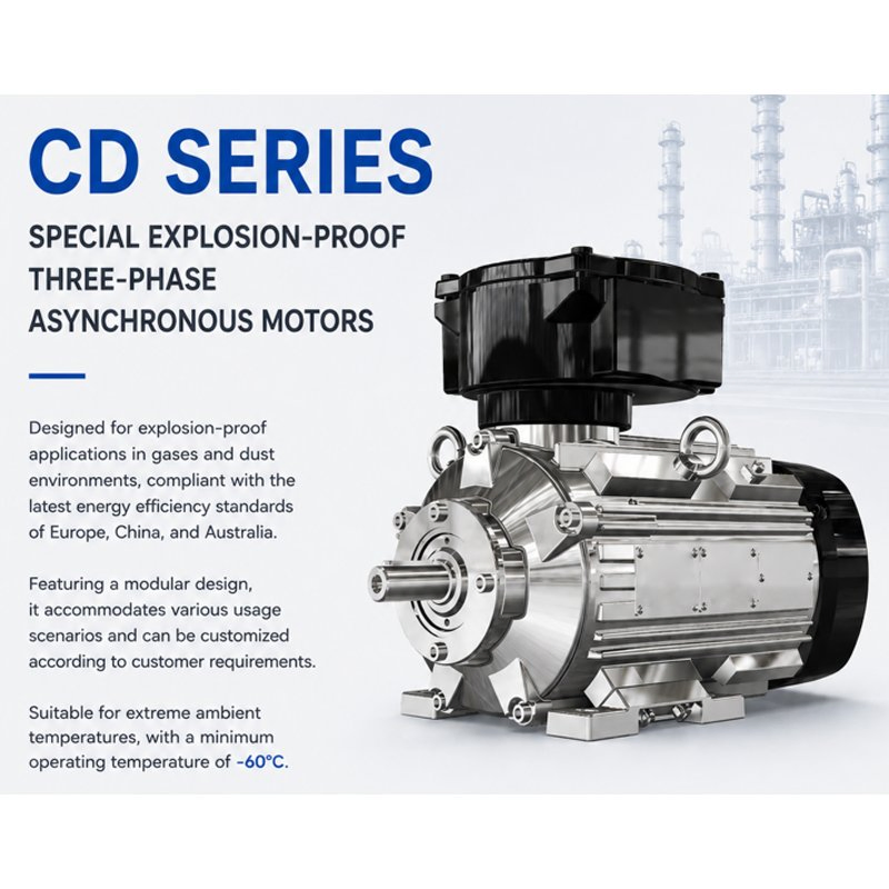 CD Series Special Explosion Proof Three Phase Asynchronous Motor