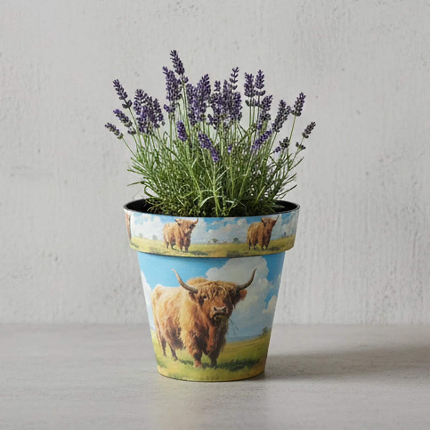 Vaso da Fiore da Esterno Decorativo Colorato Resistente