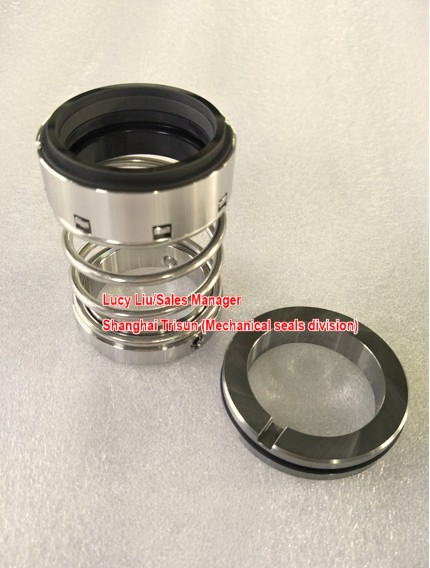Goulds 3196 Xlt Pumpe Gleitringdichtung 2.500 Vcfzf