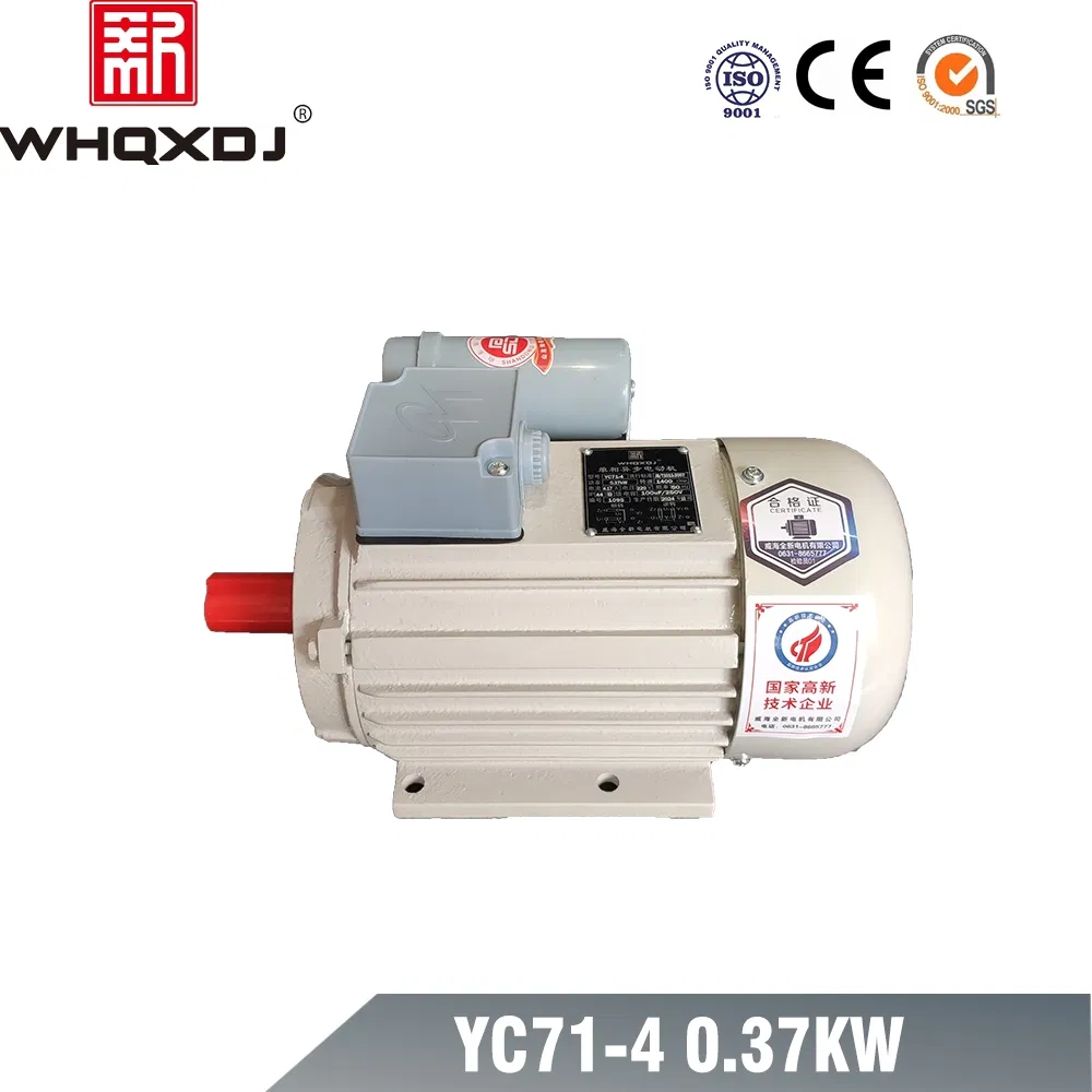 Energy Saving YC Series Copper Rotor Overheat Protection Water Pump Motor