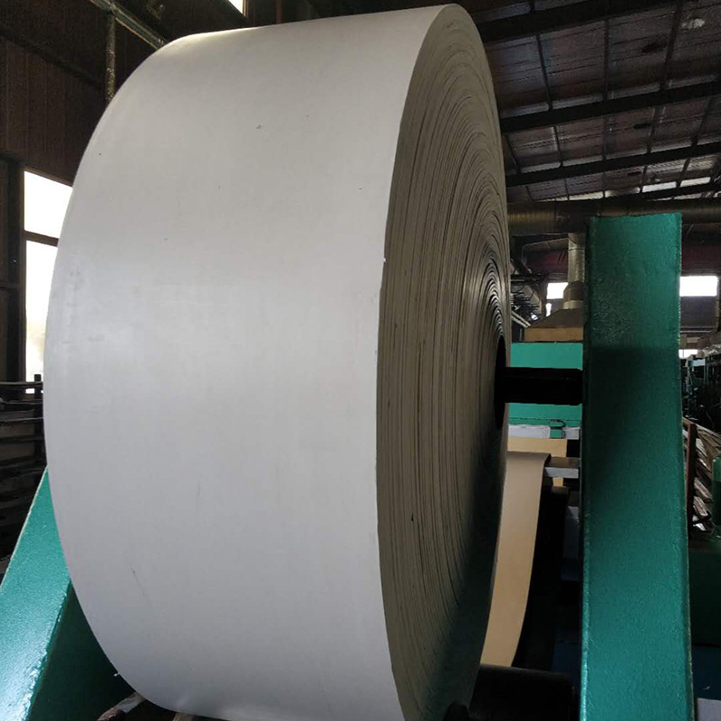 FDA Certified Food-Grade White Nylon Conveyor Belt (Made in USA)