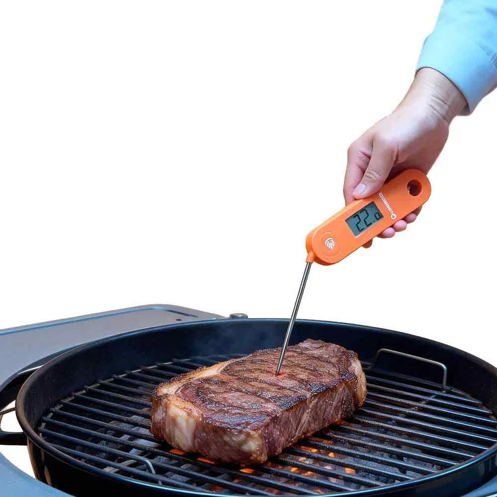 LFT-01 IP68 Waterproof Digital Food Thermometer