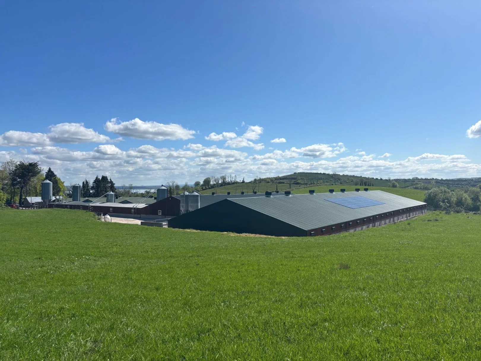 Automatic Poultry Egg Production System with Feeding & Drinking