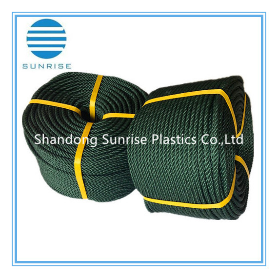 PP Danline 4 Strands with Core Rope