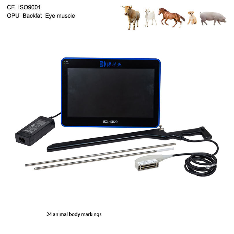 BXL-DB20 Portable Veterinary Ovum Pick up Equipment Backfat Eye Measurement Device Handheld Ultrasound Machine for Bovine CE ISO