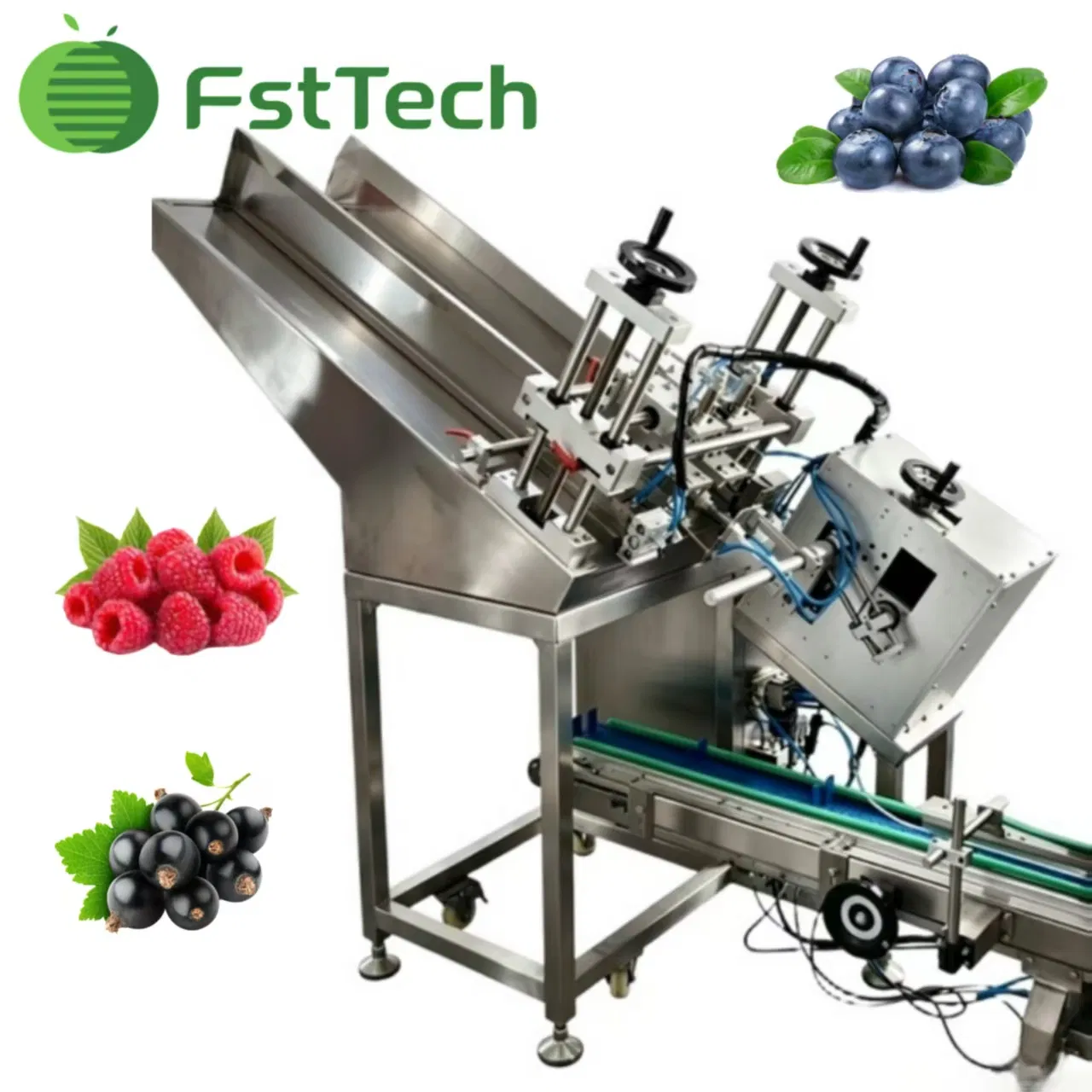 High-Speed Blueberry Weighing and Packing System for Berry Packing Line