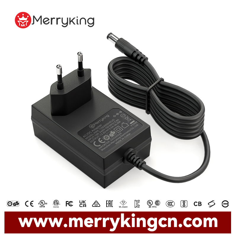 OEM Medical AC/DC Adapter CE UL KC SAA Certified 6V 1A 2A 12V 2A 6V 0.5A 6V0.6A Medical Power Adapter for Beauty Devices