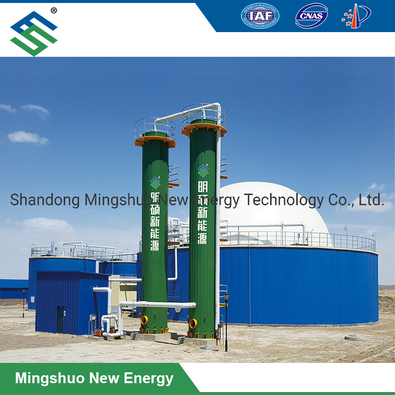 Dry Desulfurization Equipment for Removal of Hydrogen Sulfide