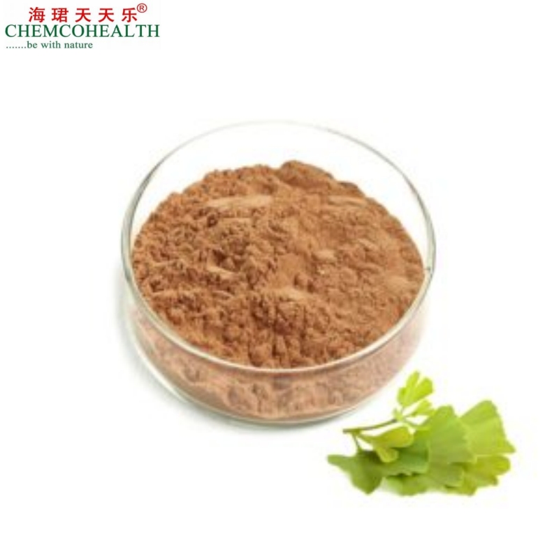 Pharma Grade 24/6 Ratio Ginkgo Biloba Herbal Extract