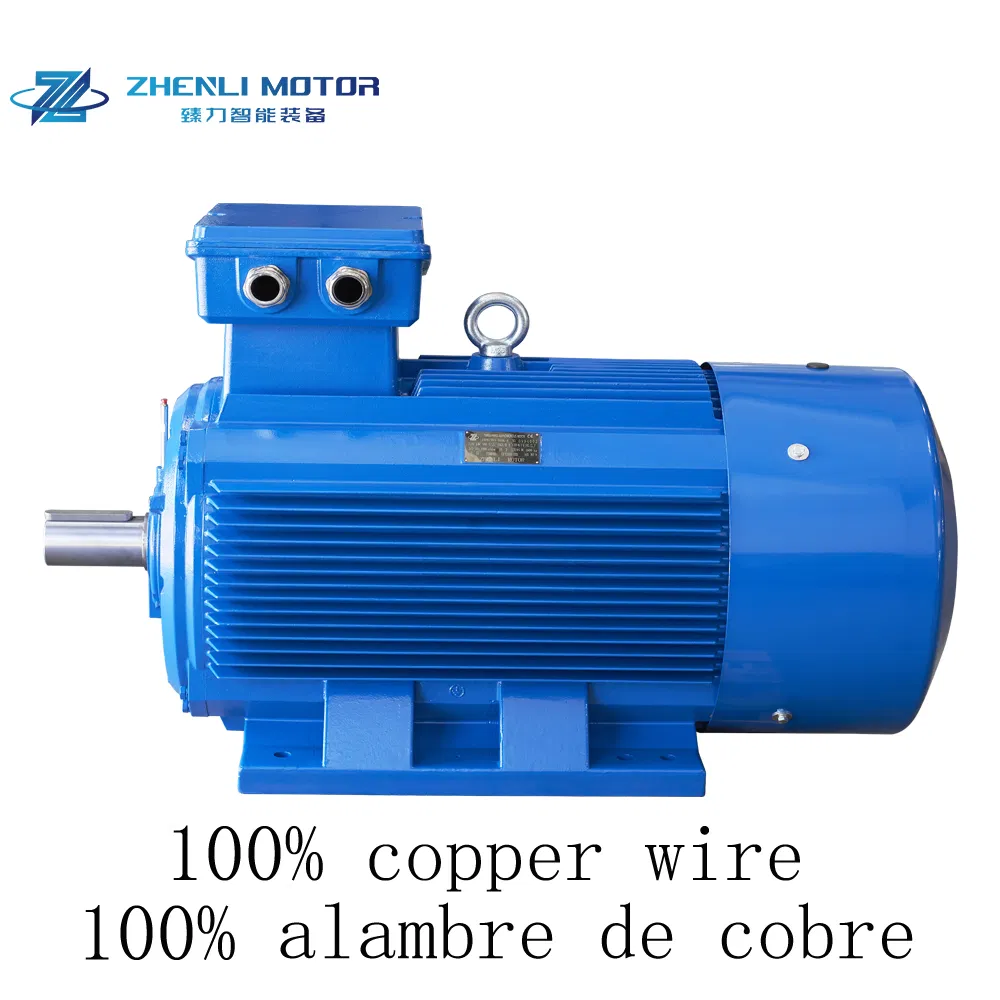 Motore a induzione trifase IE3/Ye3 ad alta efficienza 50/60Hz 315kW 430HP