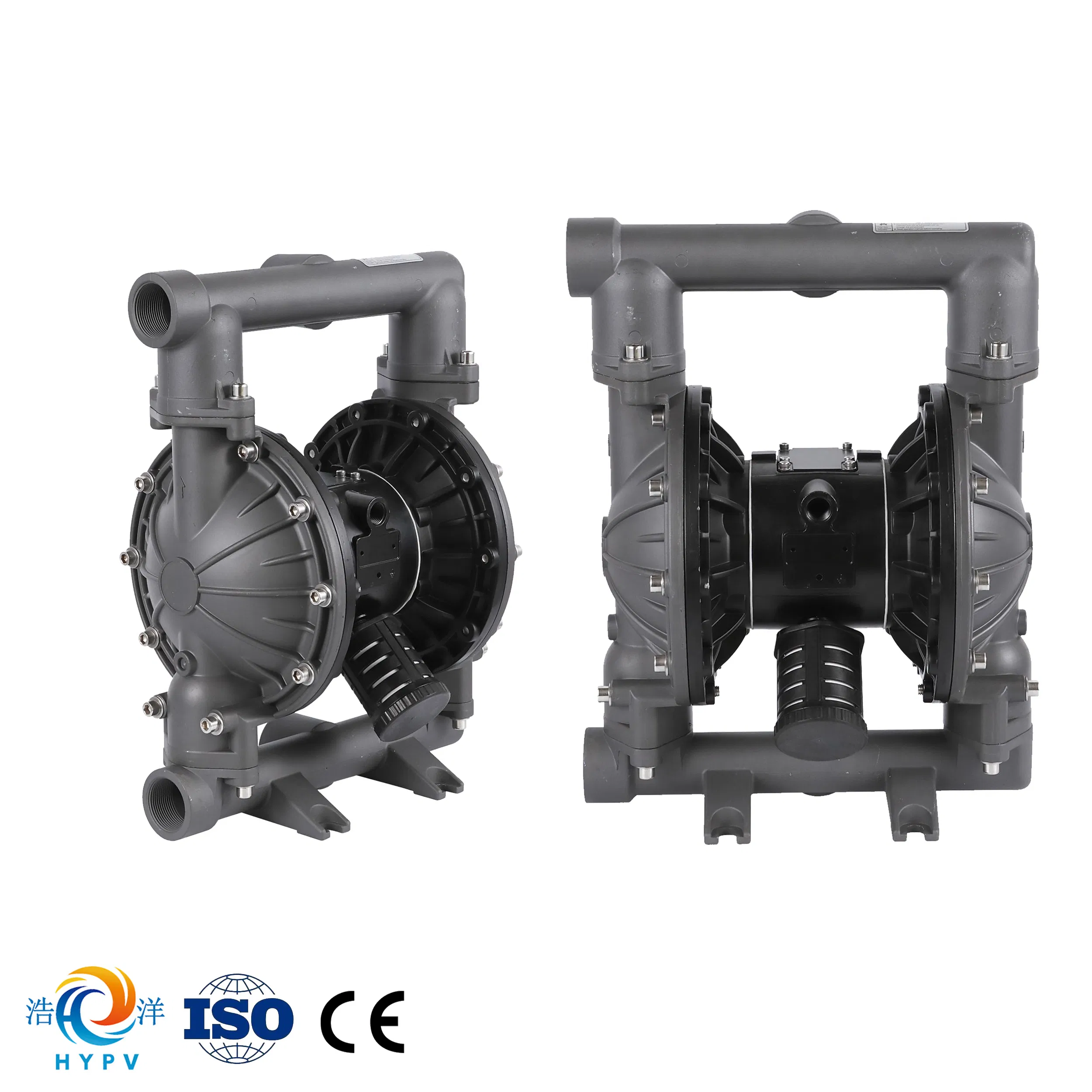Shanghai Haoyang Chemical Materials Self-Priming Diaphragm Pump