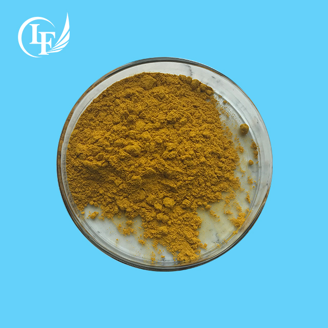 Devil's Claw Extract Powder 2%-98% Arpagoside