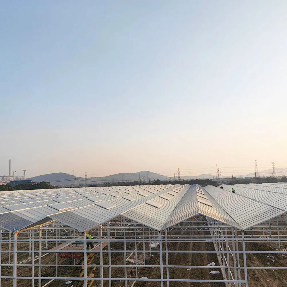 Agricultural Glass Greenhouse with Galvanized Steel Frame for Horticulture and Hydroponics