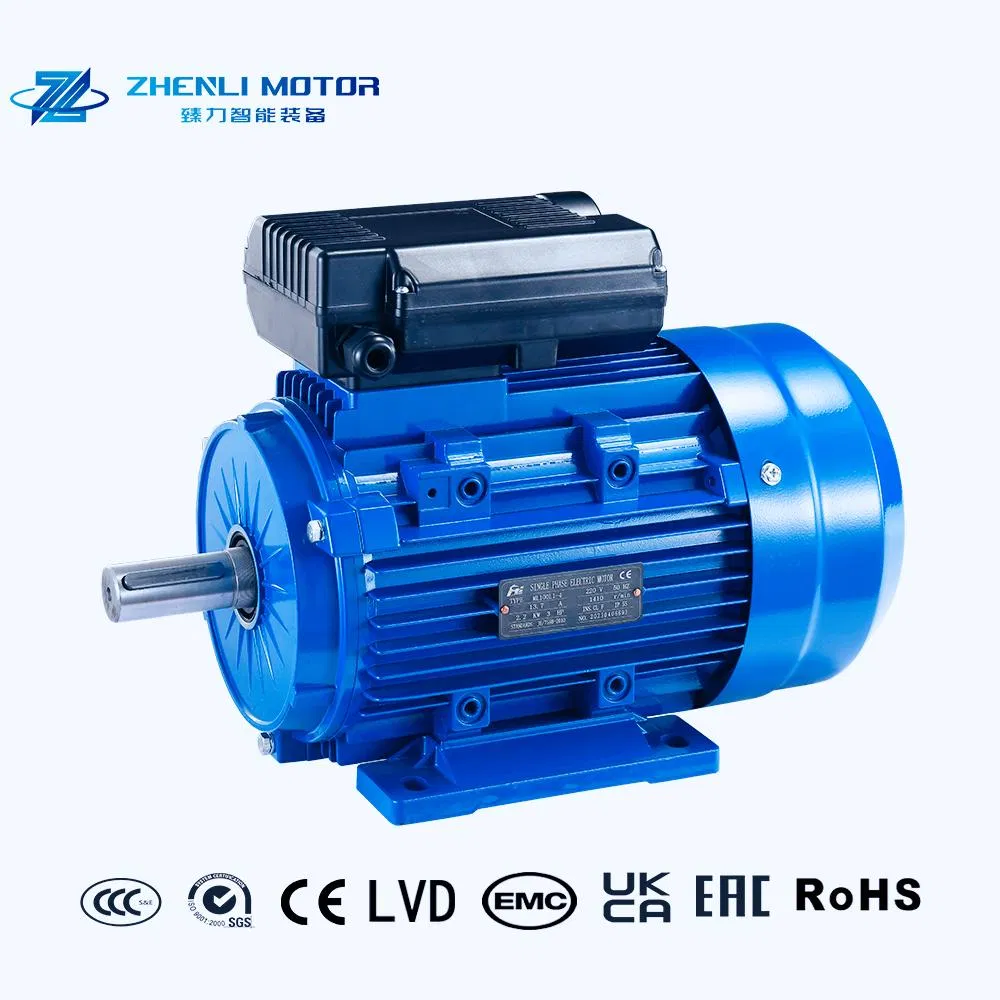 220V 230V Monofase Serie ML 50Hz 60Hz Motore Elettrico a Induzione AC con Alloggiamento in Alluminio