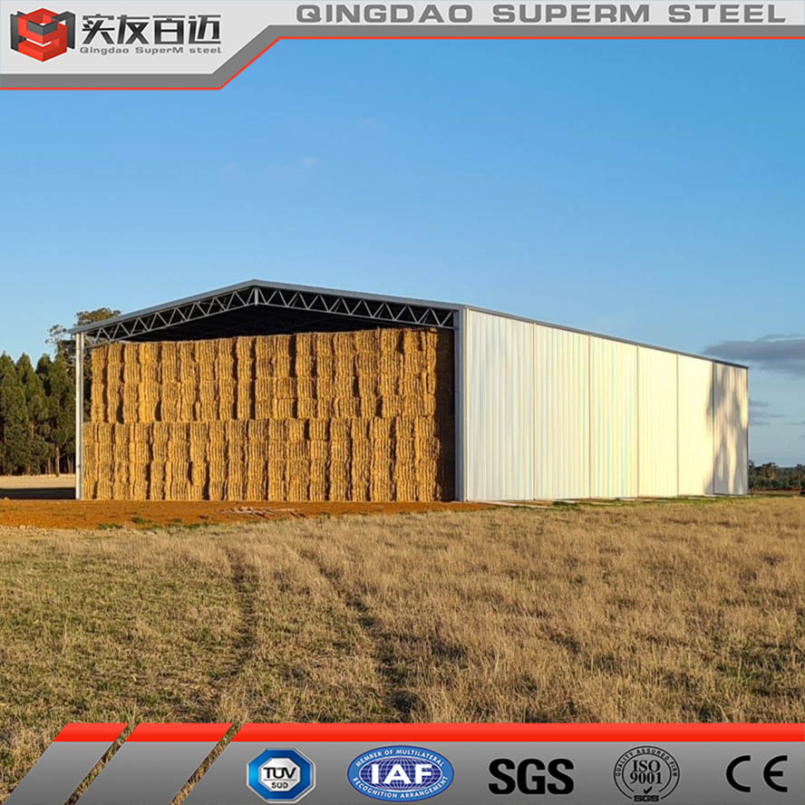 Pre-Engineer Metal Frame Building for Horse Riding Arena Prefab Horse Running Shed