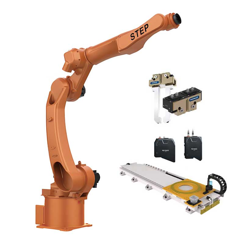 Step Industry Robot SA10-2000h Hikrobot 2D Vision Customized Robot Guide Rail Auto Handling Workstation