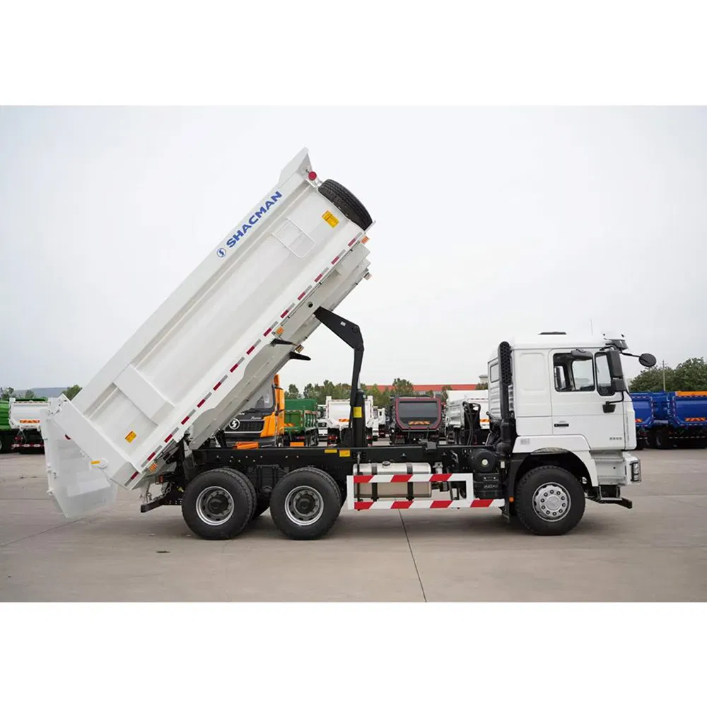 Shacman Customize F3000 LHD RHD Cargo Transport Tipper Mini Dump Lorry Truck