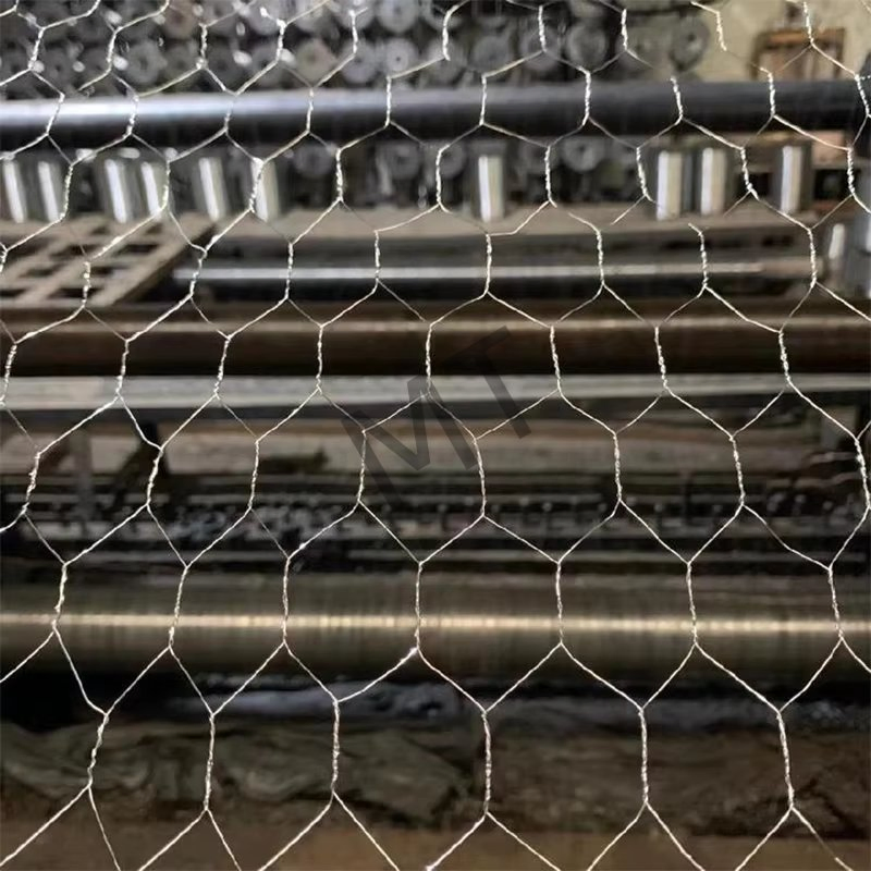 Trellis hexagonal en fil de fer pour poules