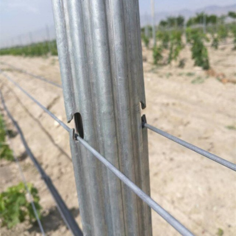 Palo per vigneto in acciaio zincato per traliccio