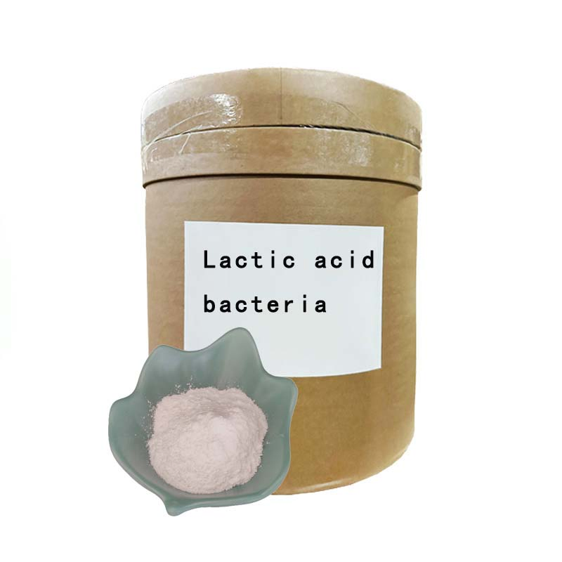 Food Grade Freeze-Dried Lactic Acid Bacteria Powder with Lactobacillus Casei