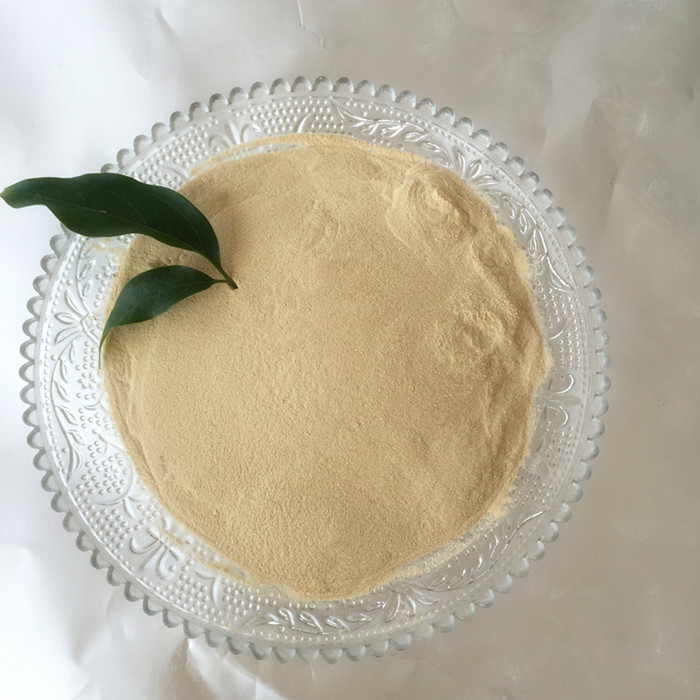 Amino Acid Powder 60% Organic Fertilizer