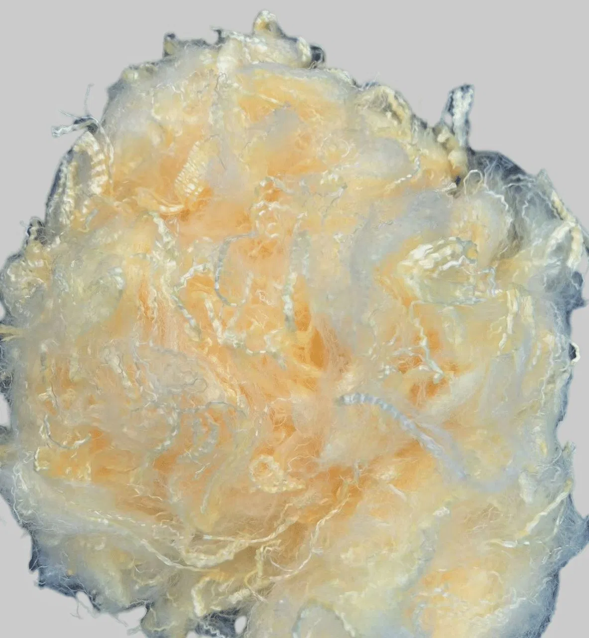 100% Colored Virgin PSF Filling Recycled Solid Polyester Staple Fiber
