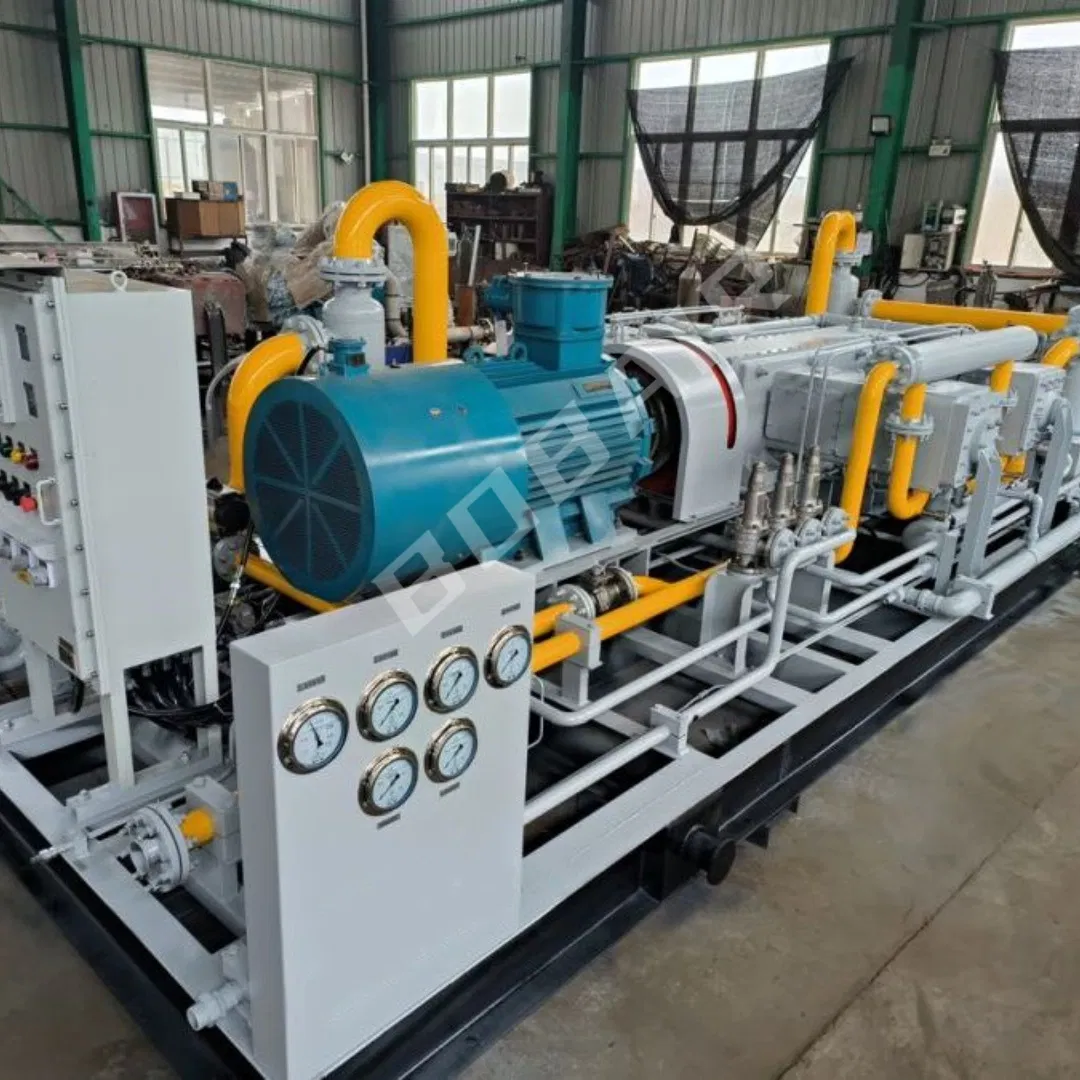 Compressore a pistoni tipo M/V per GPL/GPL/propano per esportazione in Russia e Kazakistan