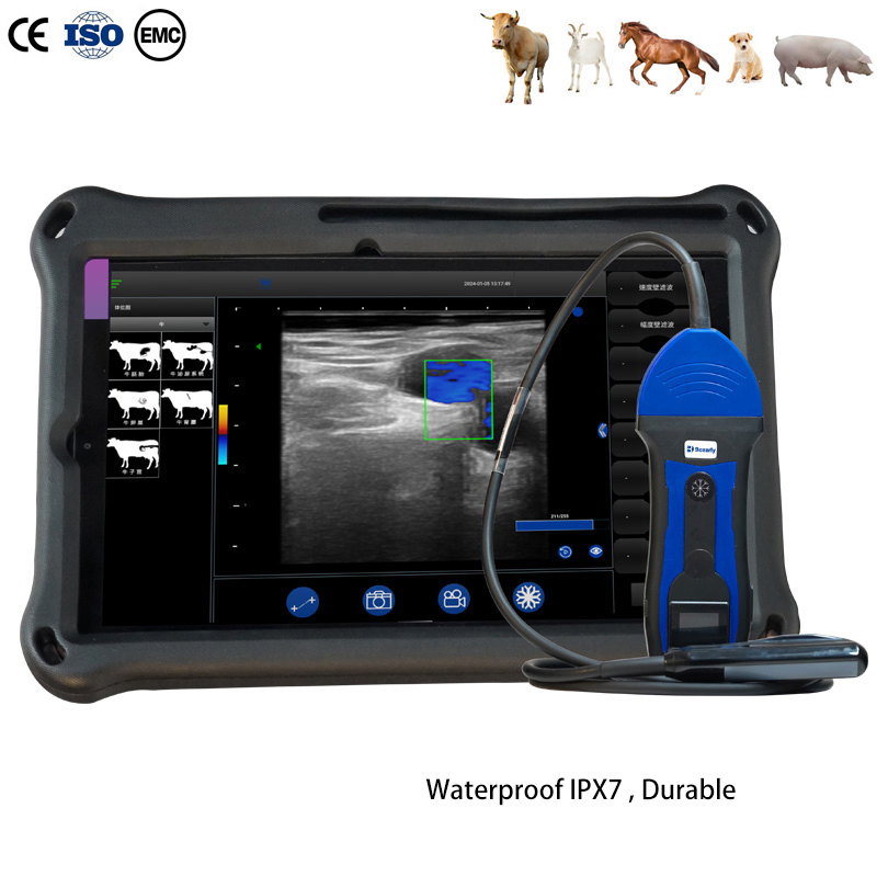 Bxl-S200 Wireless Color Doppler Cattle Veterinary Vet Ultrasound Machine Waterproof Ipx7 Dustfree