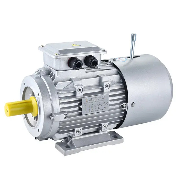 Yej Series Electromagnetic Brake Motor