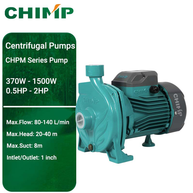 Domestic Garden Irrigation 0.5HP 1 HP Centrifugal Pump Water Pumping Machine