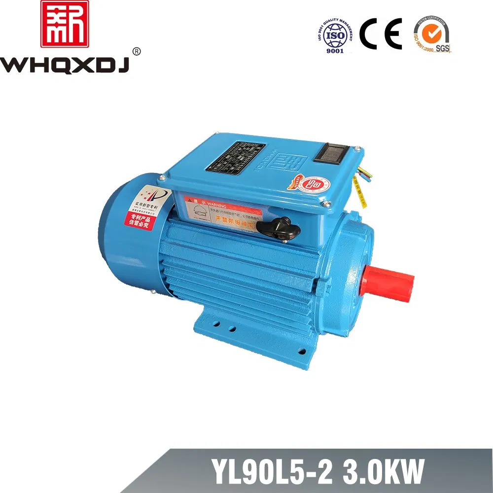 Single Phase Asynchronous Motor 220V 2800rpm Electrical AC Motor for Vacuum Pump Fan Air Cooler