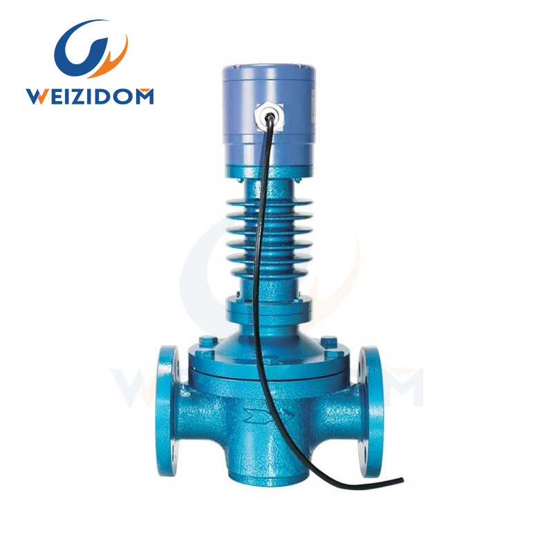 Weizidom 2025 Cost-Effective High Quality Turbine Digital Diesel Gauge Water Fuel Flow Meter Oval Gear Flowmeter