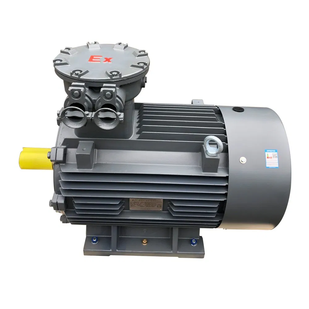 1.5kw 2.2kw 3kw 5.5kw 30kw Exdiict4 Explosion-Proof Motors