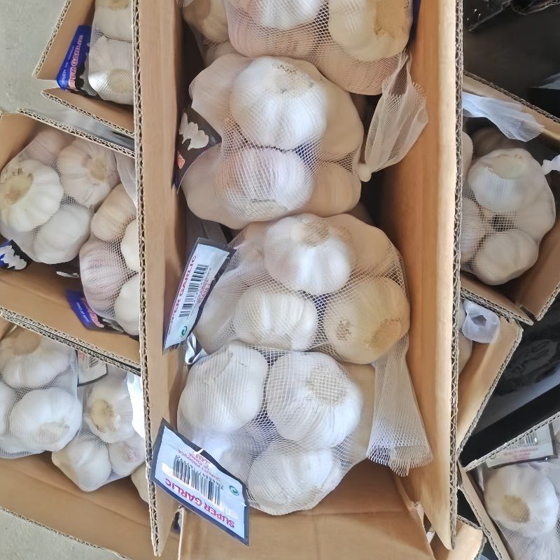 Custom Organic Fresh Garlic Carton Packaging