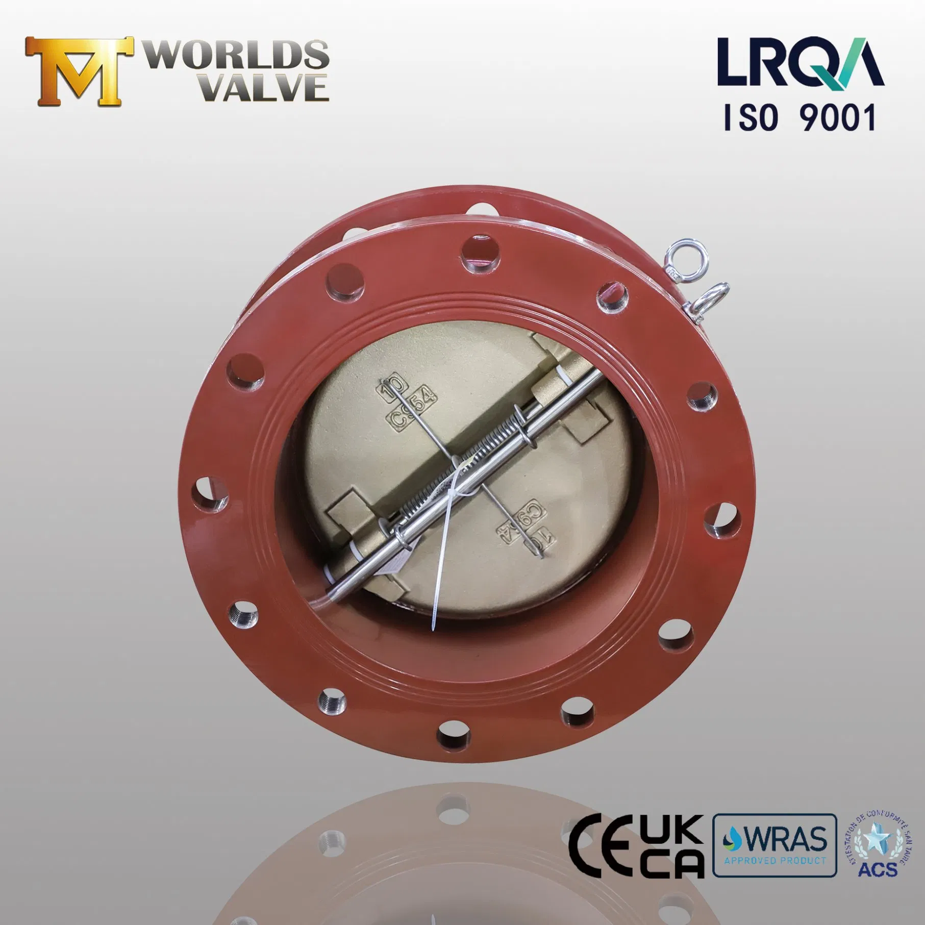 ANSI/DIN/JIS Double Flange Swing Check Valve Non Return Valves