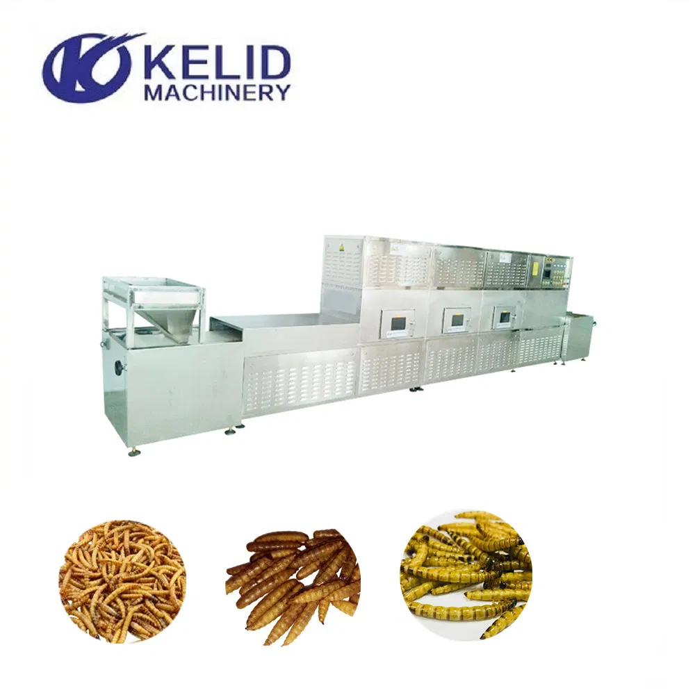 Machine de séchage tunnel à micro-ondes pour mouches soldats noires